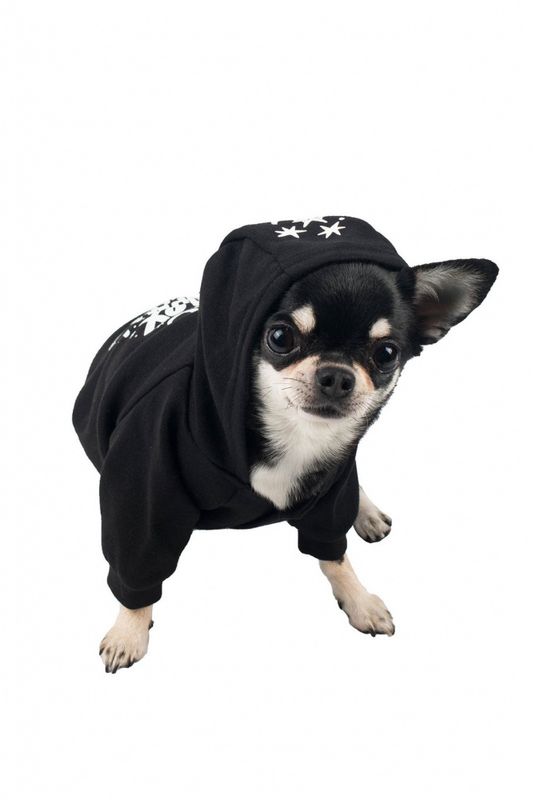 Hex Pet Hoodie