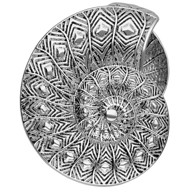 Hoofdbeeld Fossil Ear Cuffs