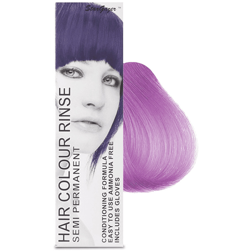 Stargazer Lavender