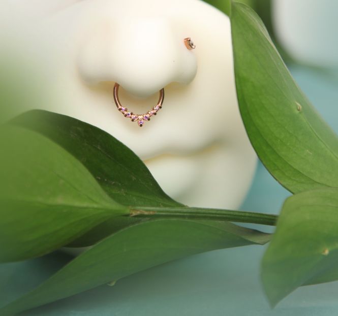 Hoofdbeeld Danielle Hinged Ring Rose ...