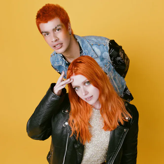 Huvudbild Arctic Fox Ginger Flare (Stor ...