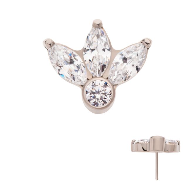 Hoofdbeeld Sienna Push-fit Clear