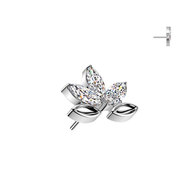 Hovedbillede Danielle X Push-fit 