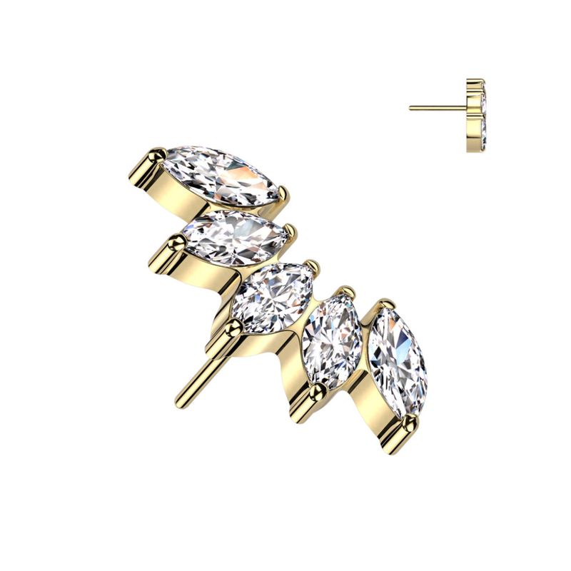 Danielle Fan Five Push-fit Gold Clear