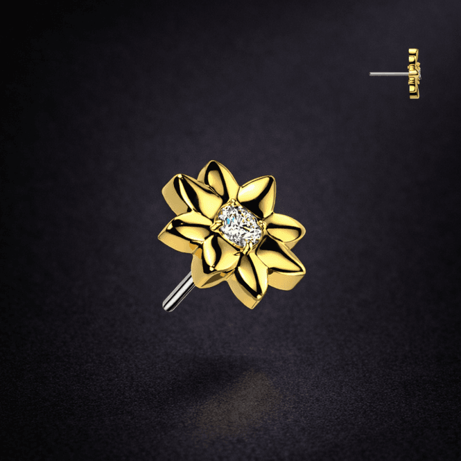 Main Image Cira Flower Push-fit 