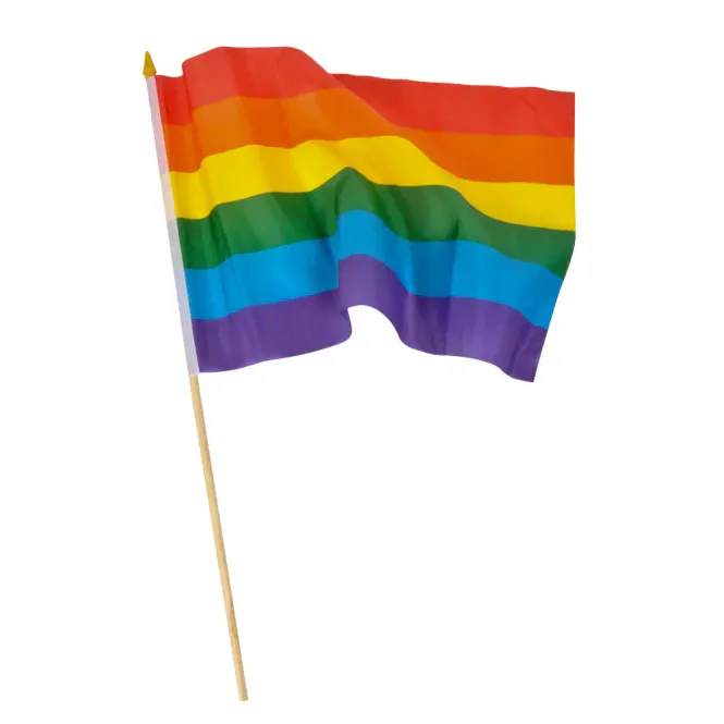 Hoofdbeeld Pride Flagg