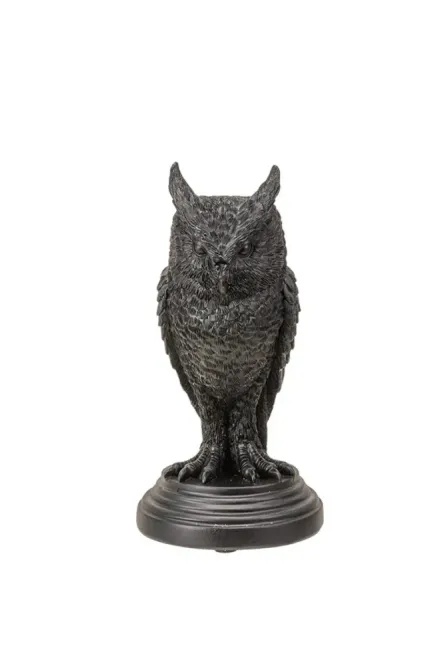 Main Image Owl Of Astrontiel Haunted ...