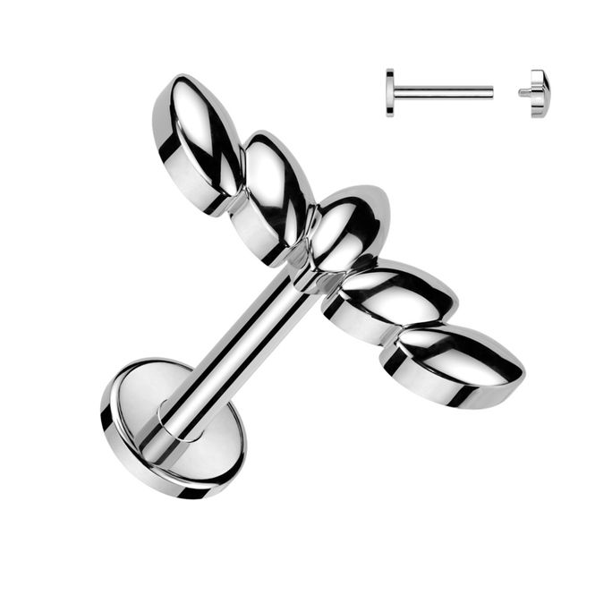 Hoofdbeeld Lana Leaves Internally ...