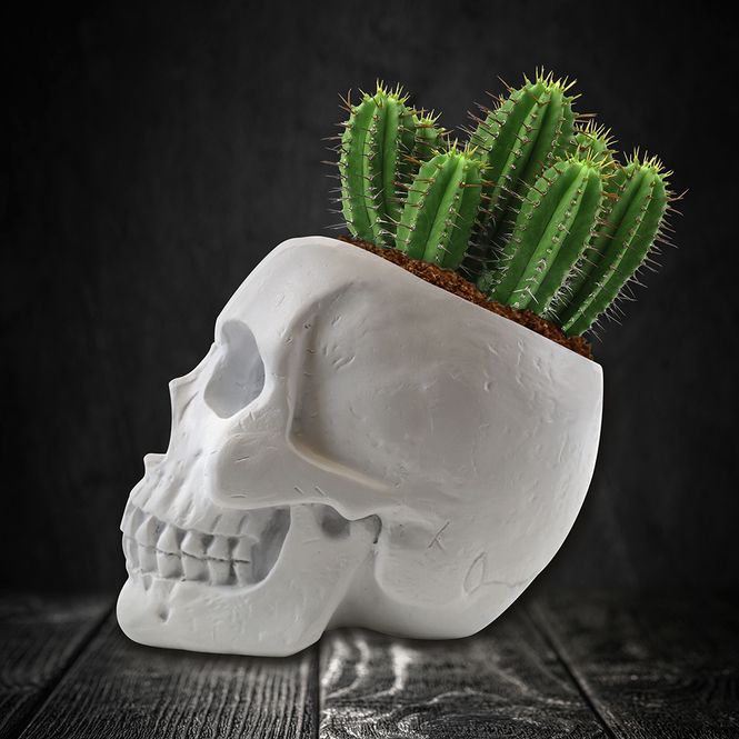 Hoofdbeeld Skull Planter Cactus Grow Kit