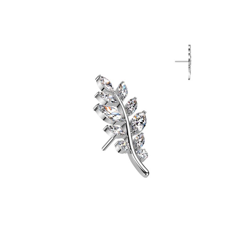 Olive Leaf Crystal Push-fit Clear
