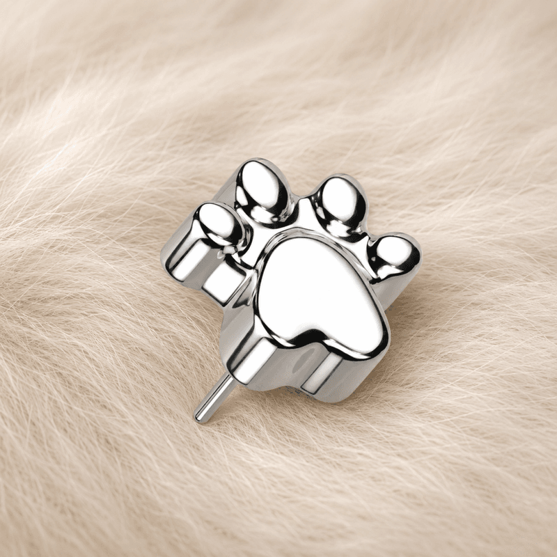 Memory Paw Print Push-fit 