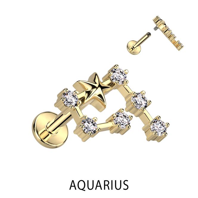 Main Image Zodiac Constellation ...