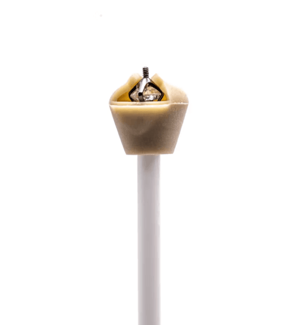 Hovedbilde Usus Piercingtopp holder