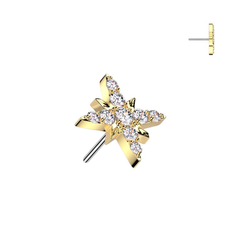 Sirius Star Push-fit Gold Clear