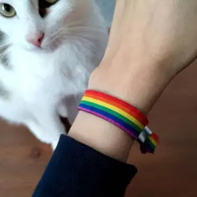 Huvudbild Rainbow Flag Ribbon